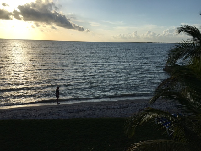 beach